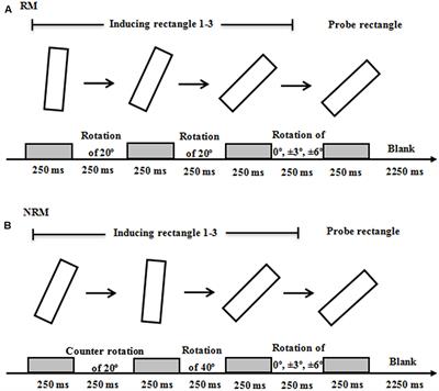 Effects of Badminton Expertise on Representational Momentum: A Combination of Cross-Sectional and Longitudinal Studies